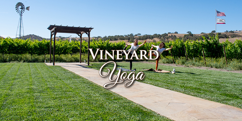 Photo of two women doing yoga in the vineyard lawn