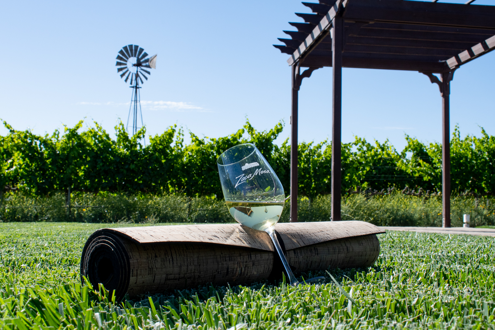 Yoga mat and glass of wine on the grass in front of the vineyard
