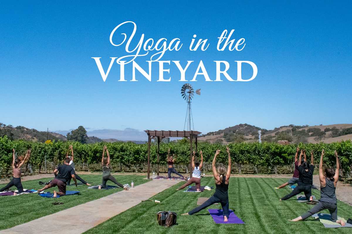 Group of people practicing yoga on the lawn of the Grenache Blanc vineyard